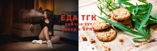 стаф Богданович