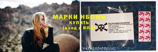 стаф Богданович