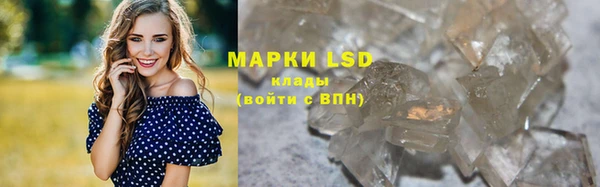 стаф Богданович