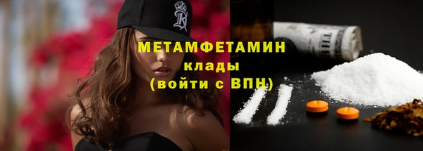 стаф Богданович