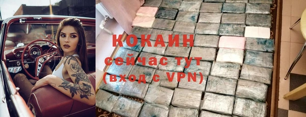 молекула духа Богородск